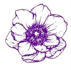 Floraria Anemone