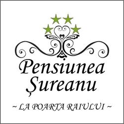 Pensiunea Şureanu