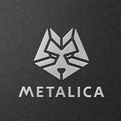 Metalica SA