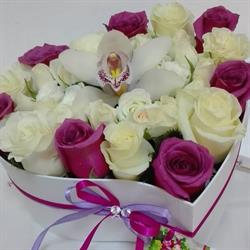 Florissima Exklusiv