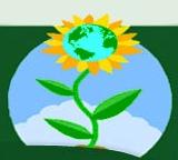 Mondoflora SRL