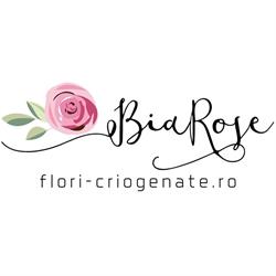 Flori Criogenate - BiaRose - Wide Flowers