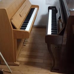 Peter's Piano Shop