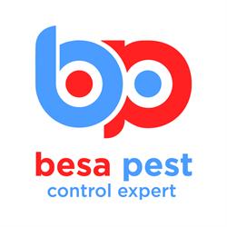 Besa Pest