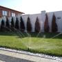 Palm Garden - rulouri gazon, piatra naturala, thuja, irigatii Rain Bird, plante decorative