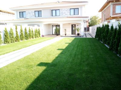 Rulouri-de-gazon-premium