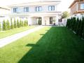 Rulouri de gazon premium