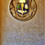 cel mai bun psihoterapeut psiholog Arad