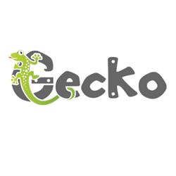 Gecko Climb