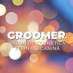 Groomer - Salon de cosmetica felina si canina