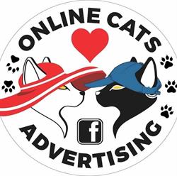 Online Cats Advertising