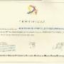 Diplome perferctionare10