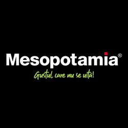Mesopotamia Sepsi Value Centre