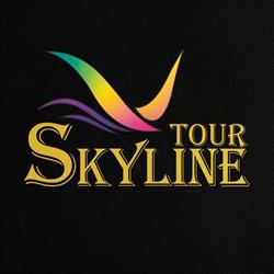 Agentia SkylineTour
