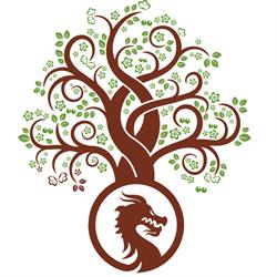 DragonVet SRL