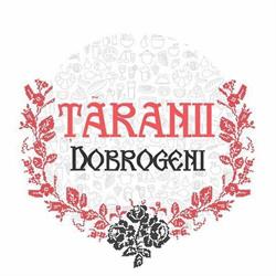 Magazinul Taranilor Dobrogeni Bratianu