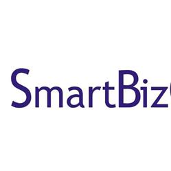 Smart Biz Consulting