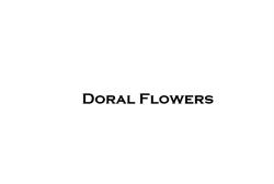 Doru Ideal Invest
