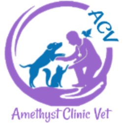 AMETHYST CLINIC VET