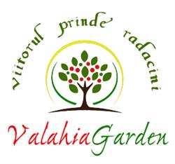 ValahiaGarden - Depozit - Plante exotice, fructifere si ornamentale CRAIOVA