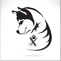 Felis' Pets