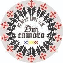 Din Camara Cristinei