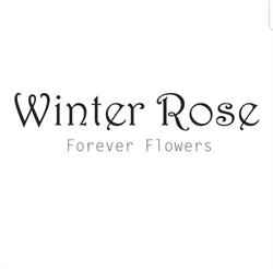 Winter Rose