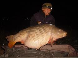 Daxx Baits
