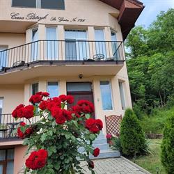 Casa Patryk