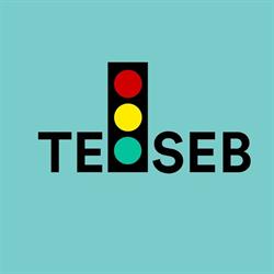 Scoala de soferi Teoseb