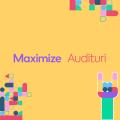 Audit-PPC-Maximize