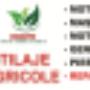 motocultoare/motosape