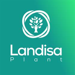Landisa Plant