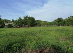Arriba Garden