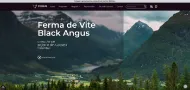 Proiect website fergus.ro