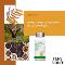 Cordyceps-2