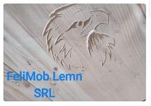 FeliMob Lemn SRL