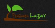 Vatra Lotrilor- punct gastronomic local & cazare