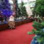 # 20