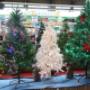 # 21