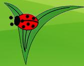 Fundatia Pestalozzi