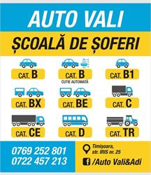 Auto Vali & Adi