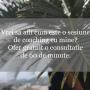 Consultatie gratuita