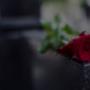 Servicii funerare Botosani - Pompe funebre Botosani