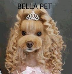 BELLA PET- Frizerie canină şi felină