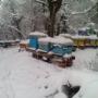 Iarna
