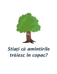 Cabina Foto Bucuresti - Copacul cu Amintiri