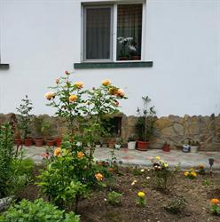 Casa Ionut