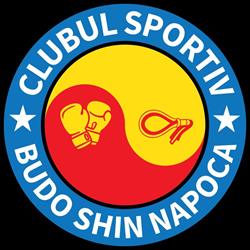 Budo Shin Napoca