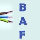 BAF Electric Systems